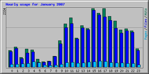 Hourly usage for January 2007