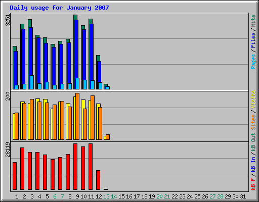 Daily usage for January 2007